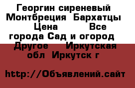 Георгин сиреневый. Монтбреция. Бархатцы.  › Цена ­ 100 - Все города Сад и огород » Другое   . Иркутская обл.,Иркутск г.